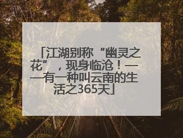江湖别称“幽灵之花”，现身临沧！——有一种叫云南的生活之365天