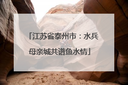 江苏省泰州市：水兵母亲城共谱鱼水情