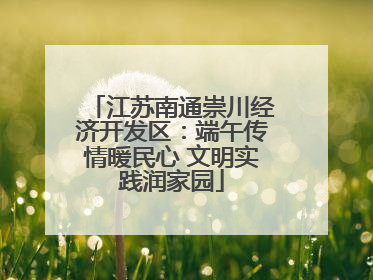 江苏南通崇川经济开发区：端午传情暖民心 文明实践润家园