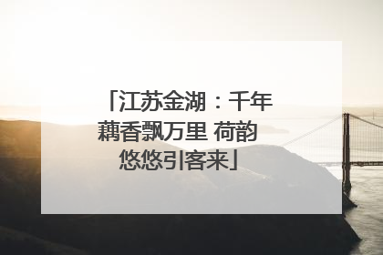 江苏金湖：千年藕香飘万里 荷韵悠悠引客来