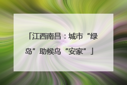 江西南昌：城市“绿岛”助候鸟“安家”