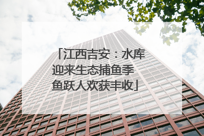 江西吉安：水库迎来生态捕鱼季 鱼跃人欢获丰收