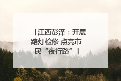 江西彭泽：开展路灯检修 点亮市民“夜行路”