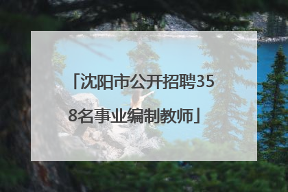 沈阳市公开招聘358名事业编制教师