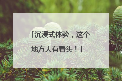 沉浸式体验，这个地方大有看头！