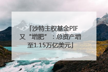 沙特主权基金PIF又“增肥”：总资产增至1.15万亿美元