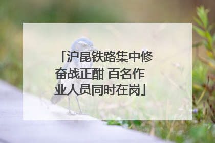 沪昆铁路集中修奋战正酣 百名作业人员同时在岗