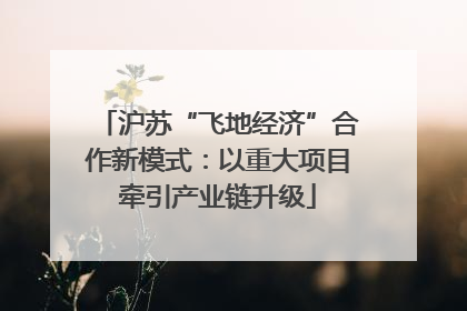 沪苏“飞地经济”合作新模式：以重大项目牵引产业链升级