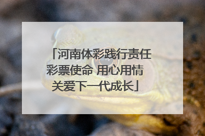 河南体彩践行责任彩票使命 用心用情关爱下一代成长