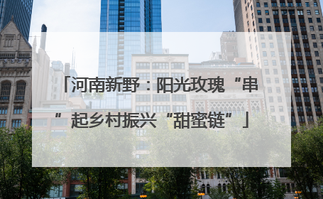河南新野：阳光玫瑰“串”起乡村振兴“甜蜜链”