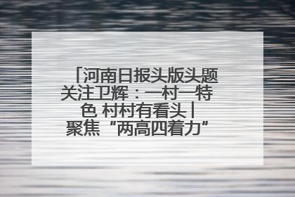 河南日报头版头题关注卫辉：一村一特色 村村有看头 ︳聚焦“两高四着力”·一“县”观察