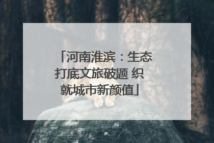 河南淮滨：生态打底文旅破题 织就城市新颜值