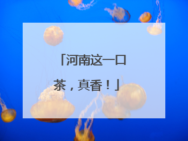 河南这一口茶，真香！