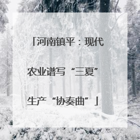 河南镇平：现代农业谱写“三夏”生产“协奏曲”