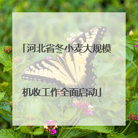 河北省冬小麦大规模机收工作全面启动