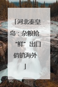 河北秦皇岛：杂粮抢“鲜”出口 俏销海外