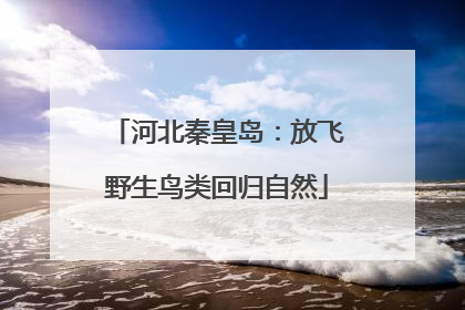 河北秦皇岛：放飞野生鸟类回归自然