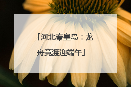 河北秦皇岛：龙舟竞渡迎端午