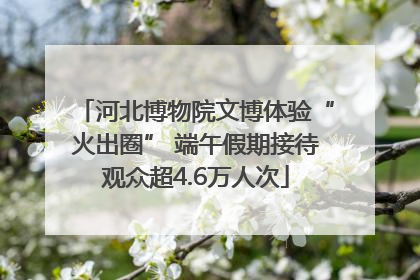 河北博物院文博体验“火出圈” 端午假期接待观众超4.6万人次