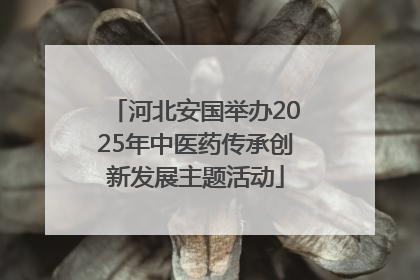 河北安国举办2025年中医药传承创新发展主题活动