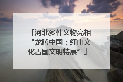 河北多件文物亮相“龙腾中国：红山文化古国文明特展”