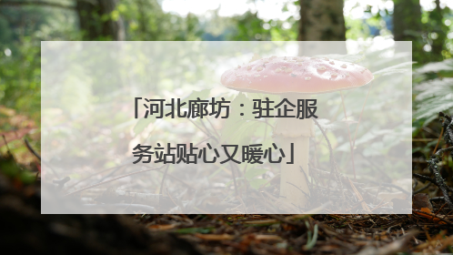 河北廊坊：驻企服务站贴心又暖心