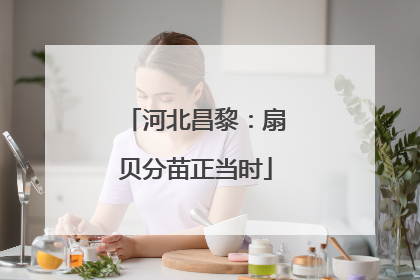 河北昌黎：扇贝分苗正当时
