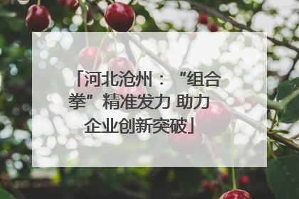 河北沧州：“组合拳”精准发力 助力企业创新突破