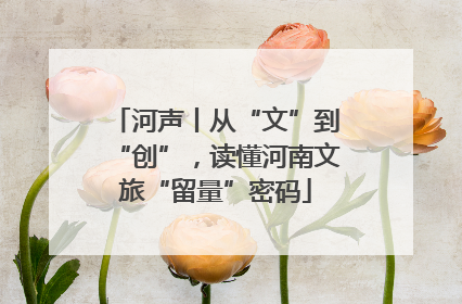 河声丨从“文”到“创”，读懂河南文旅“留量”密码