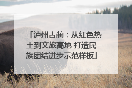 泸州古蔺：从红色热土到文旅高地 打造民族团结进步示范样板
