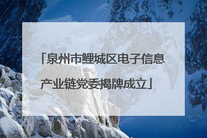泉州市鲤城区电子信息产业链党委揭牌成立
