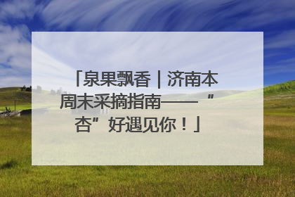 泉果飘香｜济南本周末采摘指南——“杏”好遇见你！