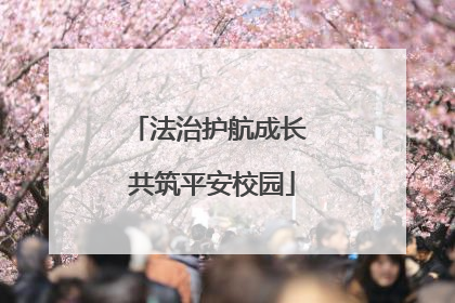 法治护航成长 共筑平安校园