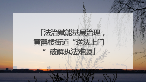 法治赋能基层治理，黄鹤楼街道“送法上门”破解执法难题