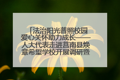 法治阳光普照校园 爱心关怀助力成长——人大代表走进莒南县焕章希望学校开展调研暨普法宣传活动