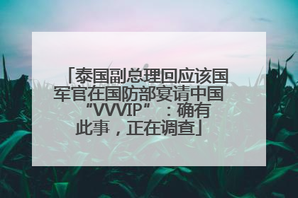 泰国副总理回应该国军官在国防部宴请中国“VVVIP”：确有此事，正在调查