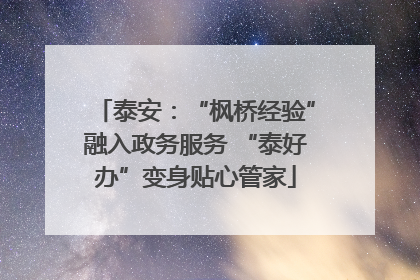 泰安：“枫桥经验”融入政务服务 “泰好办”变身贴心管家