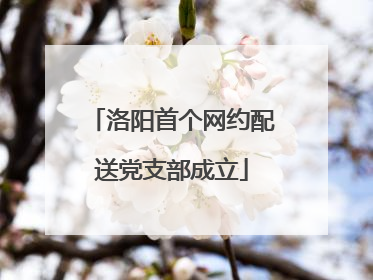 洛阳首个网约配送党支部成立