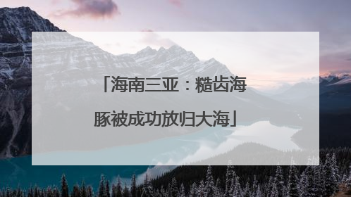 海南三亚：糙齿海豚被成功放归大海