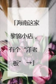 海南这家黎锦小店，有个“洋老板” →