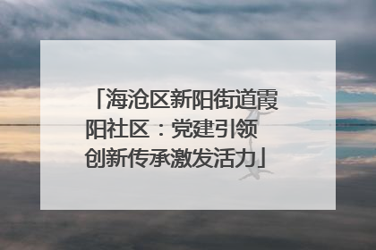 海沧区新阳街道霞阳社区：党建引领 创新传承激发活力