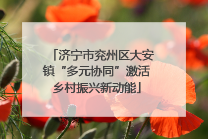 济宁市兖州区大安镇“多元协同”激活乡村振兴新动能