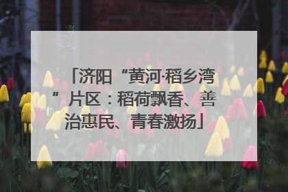 济阳“黄河·稻乡湾”片区：稻荷飘香、善治惠民、青春激扬