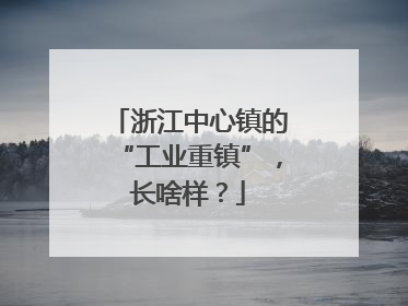 浙江中心镇的“工业重镇”，长啥样？