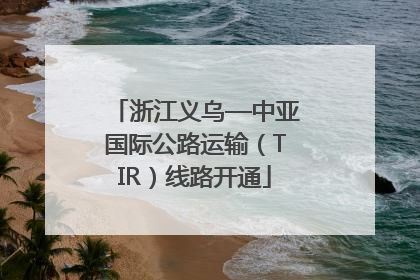浙江义乌—中亚国际公路运输（TIR）线路开通