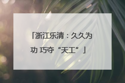浙江乐清：久久为功 巧夺“天工”
