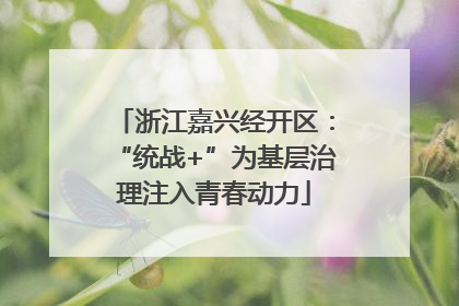 浙江嘉兴经开区：“统战+”为基层治理注入青春动力