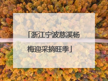 浙江宁波慈溪杨梅迎采摘旺季