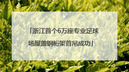 浙江首个6万座专业足球场屋盖钢桁架首吊成功