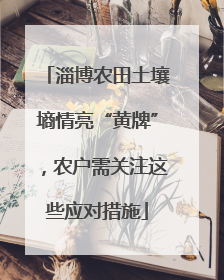 淄博农田土壤墒情亮“黄牌”，农户需关注这些应对措施